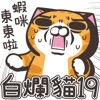 白爛貓19 動激動 icon