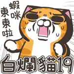 白爛貓19 動激動 App Cancel