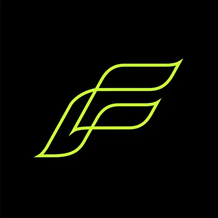 FLYT Club Cheats