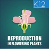 Reproduction-Flowering Plants icon