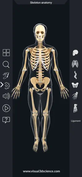 Game screenshot My Skeleton Anatomy mod apk