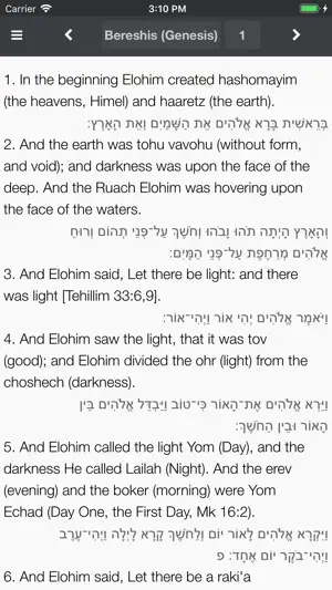Hebrew Bible Now - Tanakh screenshot 2