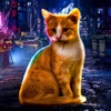 Lost Cat Life City Survival icon