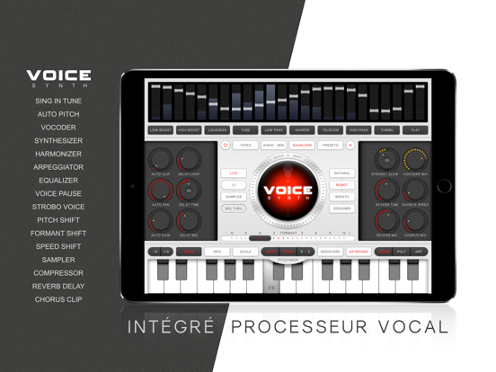 Screenshot #4 pour Voice Synth Modular