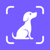 Dog Pal - Dog Breed Identifier - Next Vision Limited