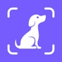 Dog Pal - Dog Breed Identifier app download