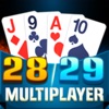 29 Card Multiplayer icon