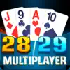 29 Card Multiplayer negative reviews, comments
