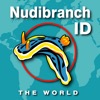 Nudibranch ID THE WORLD