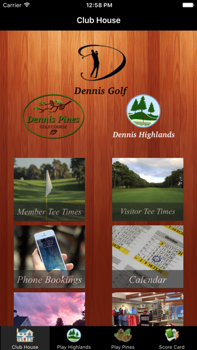 Dennis Golf Screenshot