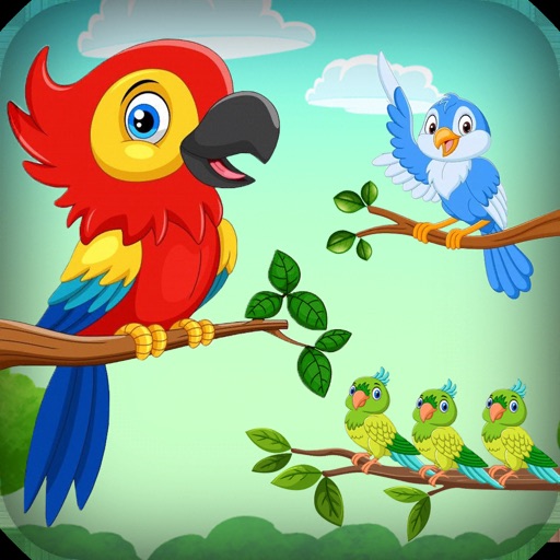 Bird Color Sort : Puzzle Games