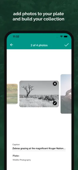 Game screenshot Plates - Photo Sharing hack