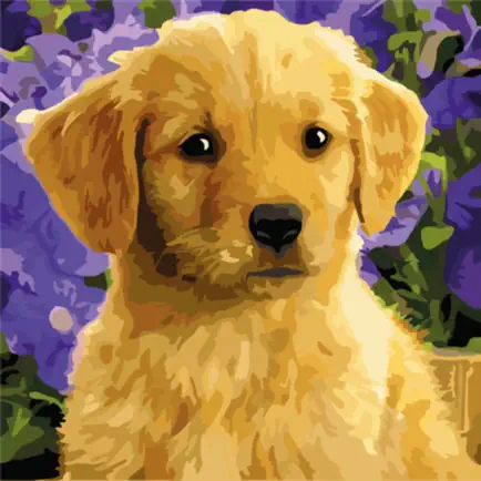 Oil Painting Paint by Number Cheats