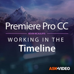 Working in the Timeline Guide