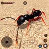 Ant Insect Bug Life Simulator icon