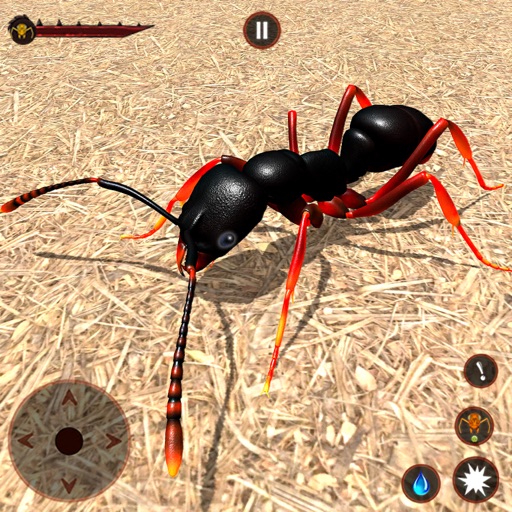 Ant Insect Bug Life Simulator Icon