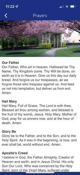 Game screenshot St. Mary Cherry Hill hack