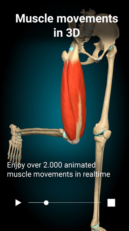 Anatomy Learning - 3D Anatomy screenshot-0