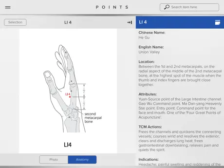 Acupuncture Points