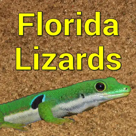 Florida Lizards Cheats