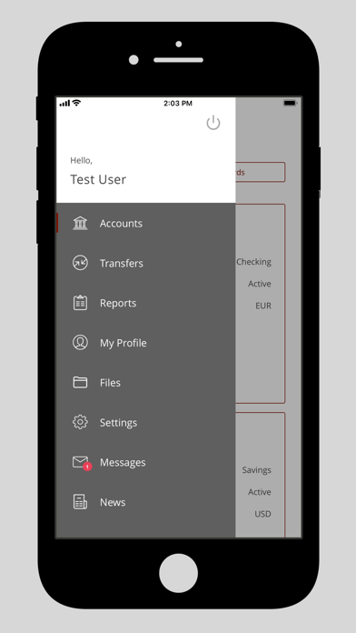 LEN24 Bank Screenshot