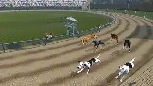 Crazy Dog Racing -Dog Games screenshot 1