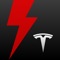 Icon Tesla Pros