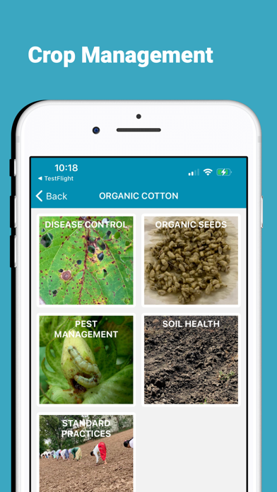 ICAC Cotton Expert Screenshot