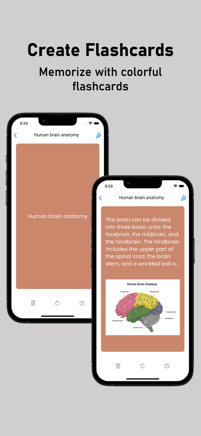 Study Notes and Flashcards Maker