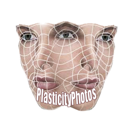 PlasticityPhotos