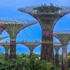 Metcast Singapore - Artur Jakucewicz