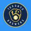 Beer-Named Softball Team App Feedback