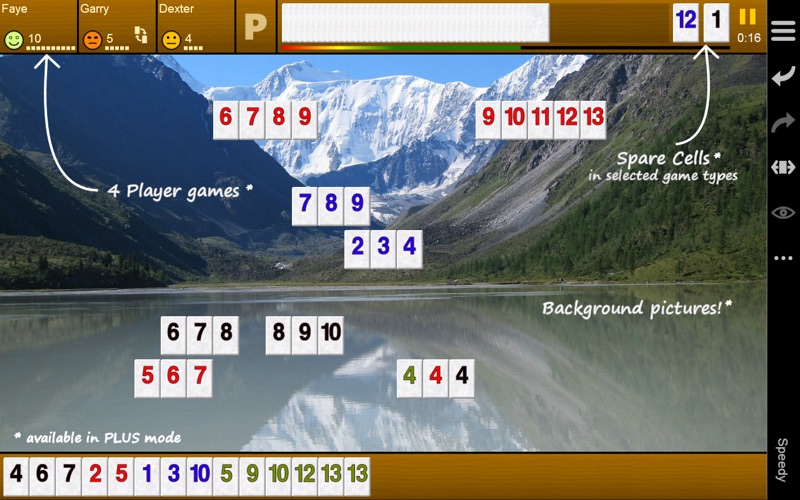 Pup Rummy 2 Screenshot