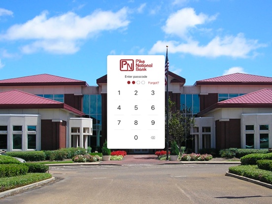 PNB-Pro iPad screenshot 2 - Finance app