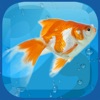 AquaLife 3D icon