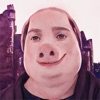 John Pork World icon