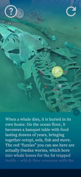 Game screenshot Deep Wonder hack