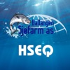 Ballangen HSEQ icon