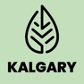 Get Jabones Naturales Kalgary for iOS, iPhone, iPad Aso Report