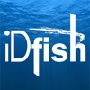 iDfish icon