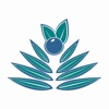 Palm Berries icon