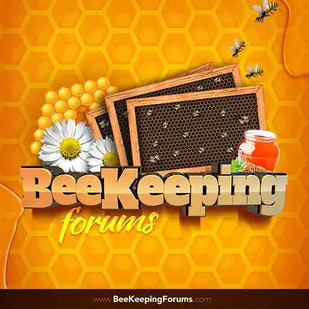 Beekeeping Forum Cheats