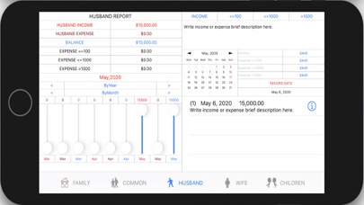 Family Cashflows Screenshot