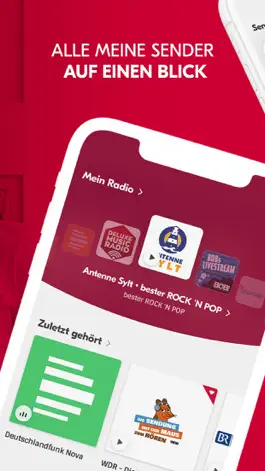 Game screenshot Radioplayer – Radio für alle apk