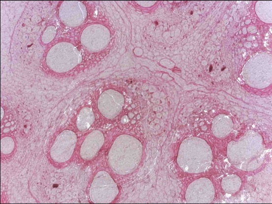 Screenshot #5 pour UMW10