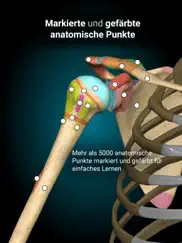 anatomy learning - 3d-anatomie ipad bildschirmfoto 4