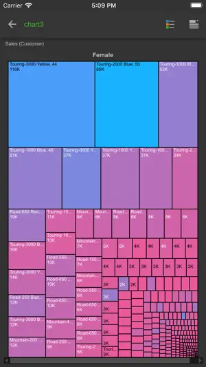 Pyramid Analytics screenshot 4