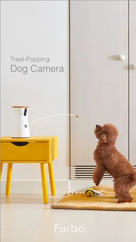 Game screenshot Furbo-Treat tossing pet camera mod apk