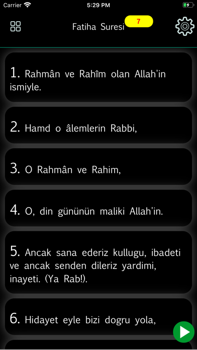 Turkish Quran - Holy Qu'ran Screenshot