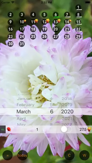 Скриншот Только для женщин - Calendar W на iPhone 8